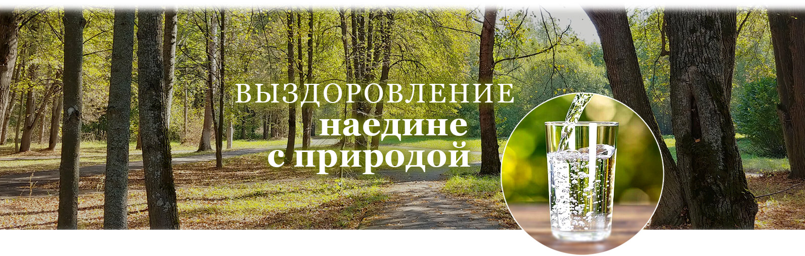 Редизайн сайта санатория-курорта «Краинка»