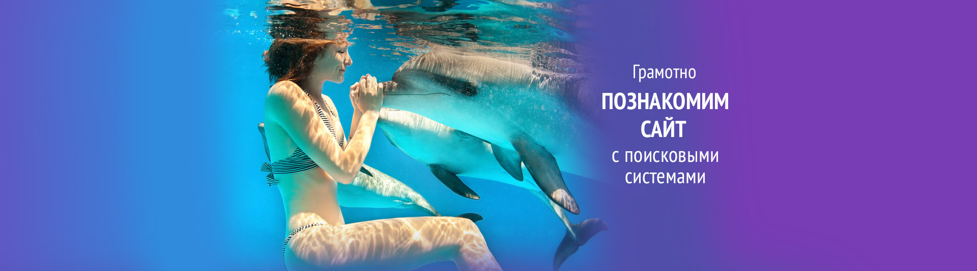 Поисковые системы