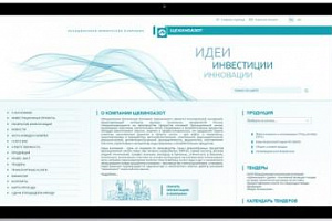 Дизайн-концепция обновления бренда компании «Щекиноазот»