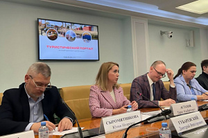Выступление по развитию туротрасли в Совете Федерации
